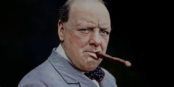 Alexandra Churchill Wikipedia: Is She Related To Sir Winston Churchill?