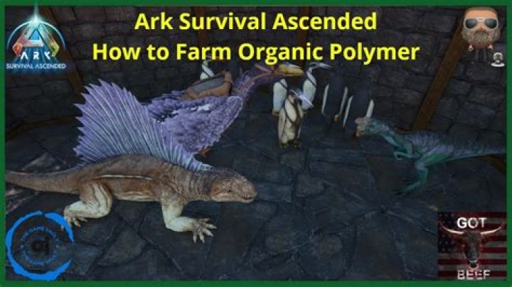 Ark Fjordur Organic Polymer - SarkariResult