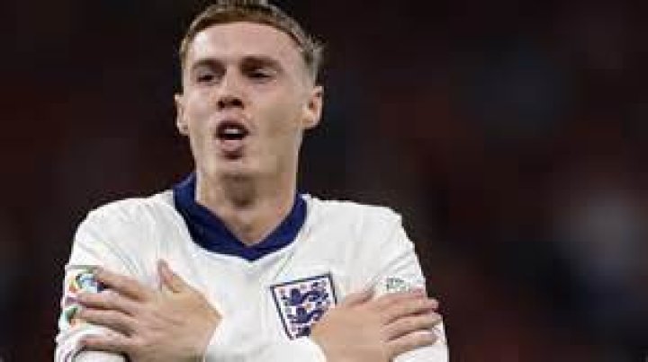 Bradley Palmer Net Worth