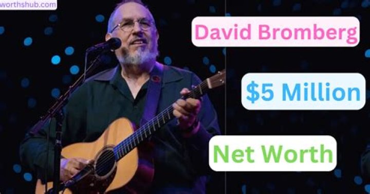 David Bromberg Net Worth