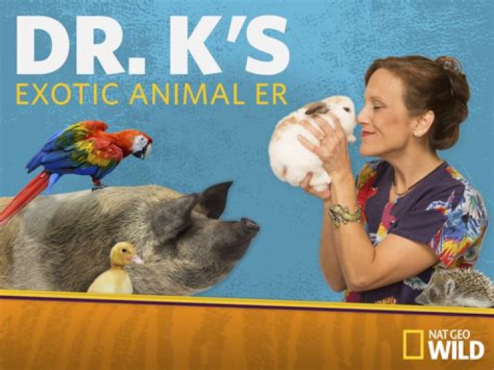 Dr. K Bio, Family, Career, Husband, Heritage, Exotic Animal ER