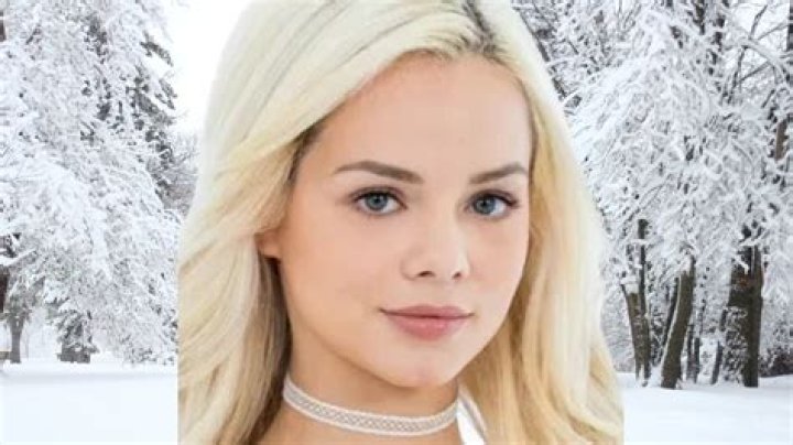 Elsa Cancino Net Worth