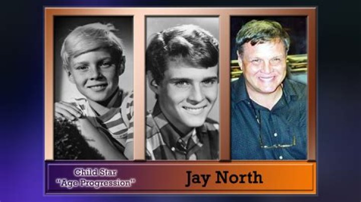 How Much Money Does Jay North Make? Latest Jay North Net Worth Income Salary