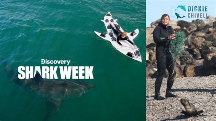 How Old Is Dickie Chivell? Shark Week Discusses White Sharks in Shark House