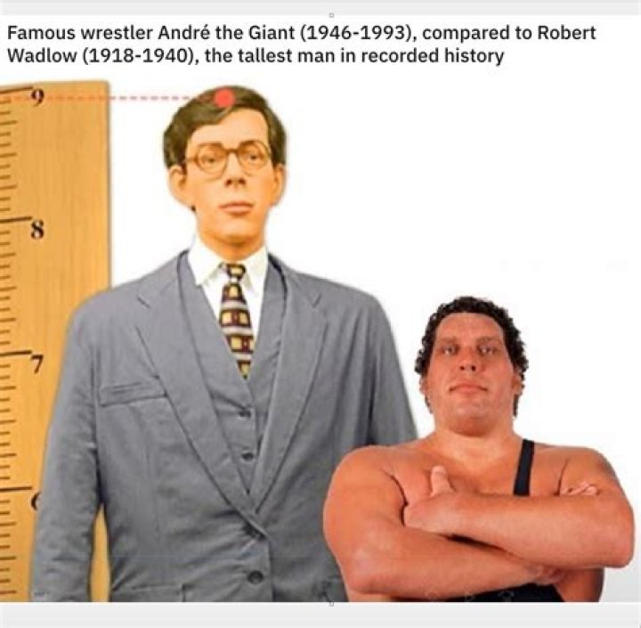 How Tall And How Big Was Andre The Giant Before He Died?