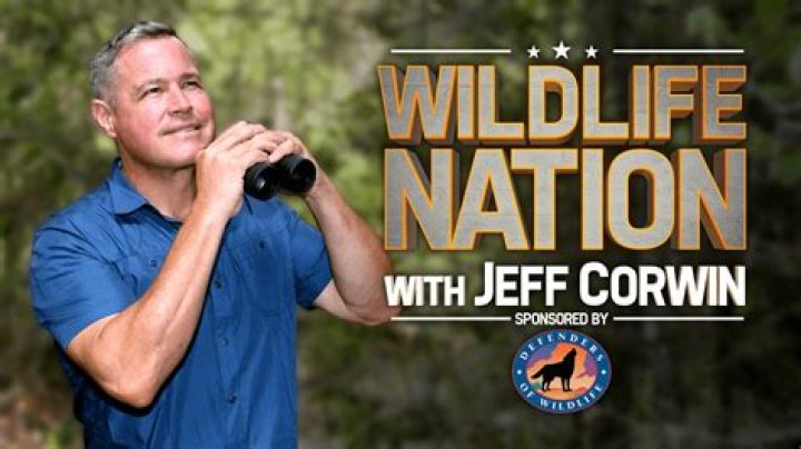 How to contact jeff corwin