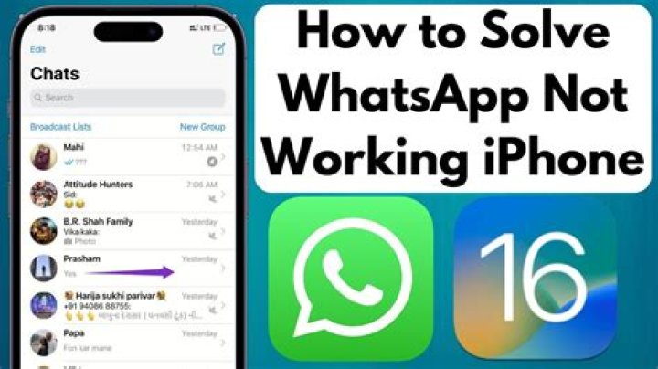 How to Fix Whatsapp Not Updating on Iphone? - SarkariResult