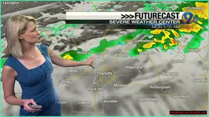 Leigh Brock Wiki, Age, Married, Engaged, Salary, Height (Meteorologist)