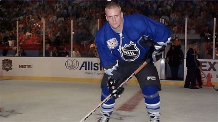 Mike Vallely Net Worth