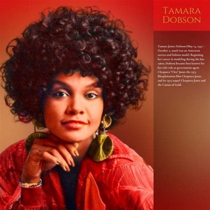 Tamara Dobson Net Worth