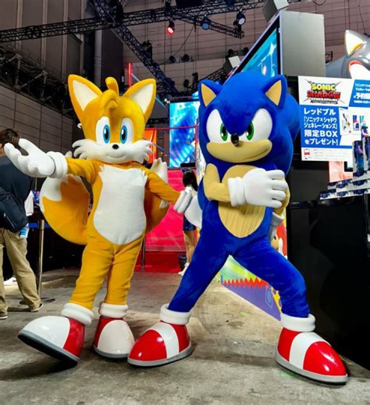 Who is Originalvvs TikTok? Meet Indiavvsofficial On Instagram